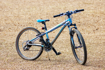 Poster - Blue generic bicycle in an open field during daylight