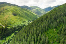 Panoramic View Of Green Mountain Hills In The Summer. Green Valley With High Trees 