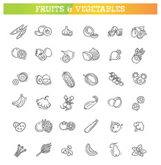  Fresh fruit and vegetables. Thin line flat design