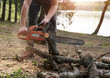 © olezzo - A man sawing wooden logs with a chainsaw in the forest with flying particles