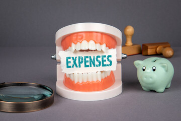 Expenses. Piggy bank, stamps and magnifying glass on a gray background