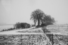 Snow Covered Trees By Long Wooden Fence. Landscape With Meadows And Pastures Divided With Electric Wooden Fencea