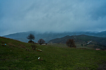 Wall Mural - Landscape of mountains with cloudy sky and fog on a cloudy day. Autumn rainy day