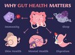 Why gut health matters. Scientific poster with characters.