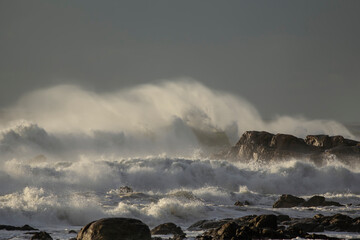 Wall Mural - Sea wave spray