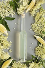 Wall Mural - Elderflower syrup. Creative background with bottle of  elderflower syrup and ingredients. Flat layot_ copy space