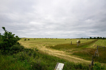 Wall Mural - sylt