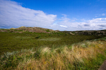 Wall Mural - sylt