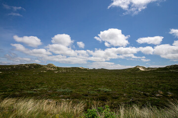 Wall Mural - sylt