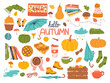 Vector set of autumn icons: pumpkin, scarf, hat, blanket, umbrella, leaves and others. 