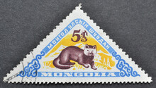 Cancelled Postage Stamp Printed By Mongolia, That Shows Sable (Martes Zibellina), Circa 1959.