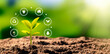 © Proxima Studio - Growing plant, earth day, environmental concept