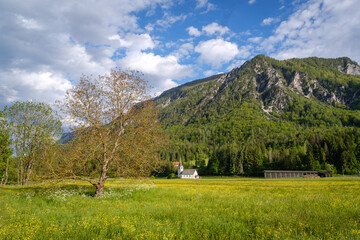 Wall Mural - Mojstrana St Clement’s church under alps