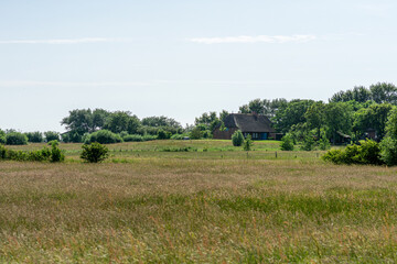 Canvas Print - landscape with farm