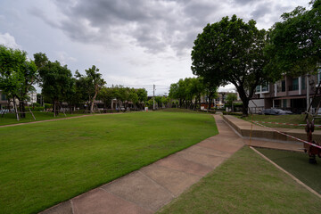 Canvas Print - path in the park