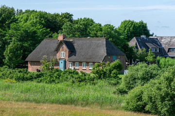 Wall Mural - rural house