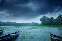 Wooden Boats In A Paddy Field When Flooded During Heavy Rain, Beautiful Landscape Photography In Rainy Day, Falling Rain While The Sky Is Filled With Dark Clouds, Monsoon Photography In Kerala India