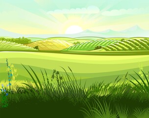 Wall Mural - meadow hills with vegetable gardens and fields. rangelands and pastures. rural landscape. out-of-tow
