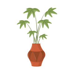 Poster - tropical plant in pot