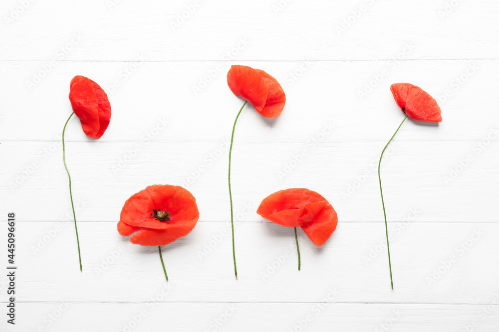 Beautiful red poppy flowers on light wooden background