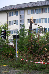 Shattered trees and branches after heavy nightly summer thunderstorm at City of Zurich. Photo taken July 13th, 2021, Zurich, Switzerland.