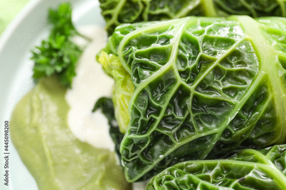 Plate with stuffed cabbage leaves, sour cream and sauce, closeup
