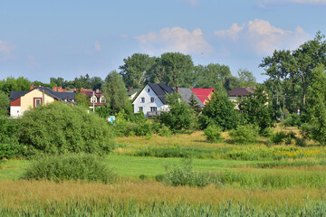 view of the estate of detached houses among trees and green meadows. summer. day.
