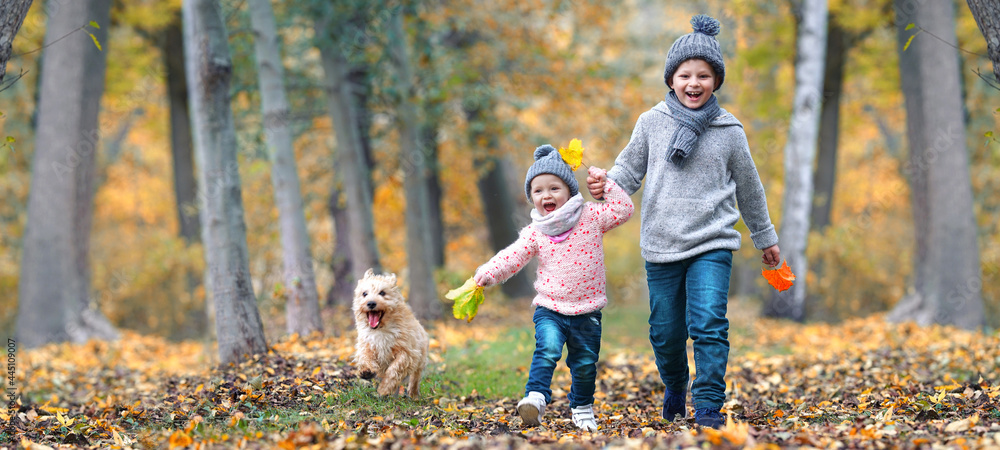 lachende Kinder im Herbst im Wald - obrazy, fototapety, plakaty 