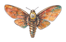 Watercolor Illustration Steampunk Metal Robot Butterfly With A White Background