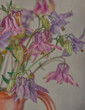 Closeup shot of withering aquilegia flowers in a vase