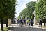 Fototapeta Miasto - people walking in the park