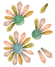 Watercolor Set With Daisy Flowers. It Is Made In Vintage Colors. The Style Of Old Children's Books. It Is Suitable For The Design Of Postcards And Walls, Business Cards Or Labels.