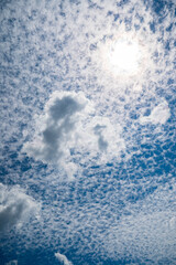 Wall Mural - .beautiful summer landscape outdoors, nice clouds
