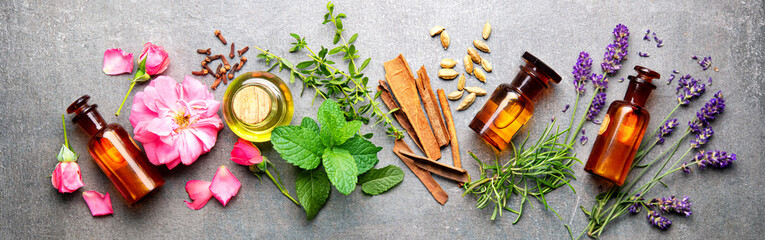 Bottles of essential oil with rosemary, thyme, cinnamon sticks, cardamom, mint, lavender, rose petals and buds