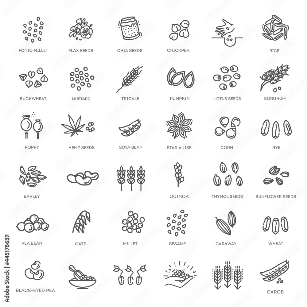 Plant seed vector icon set - obrazy, fototapety, plakaty 