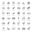 Plant seed vector icon set