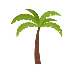 Palm tree icon flat isolated vector