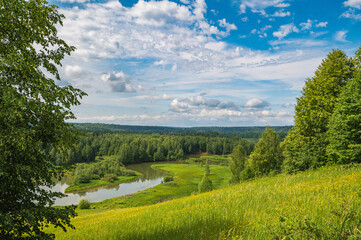 Wall Mural - Summer panoramic landscape with wildflowers and trees on a wide meadow, a winding river and a forest in the distance, clouds in the blue sky.