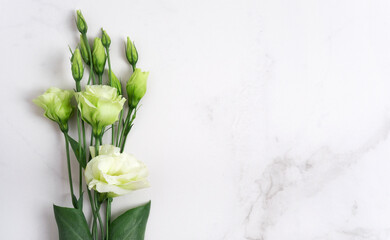 Fresh green colors on a natural stone table, white marble background with copy space, flat lay, top view.