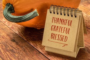 Wall Mural - thankful, grateful, blessed inspirational words - a pumpkin with a handwriting in a spiral sketchbook, Thanksgiving holiday concept