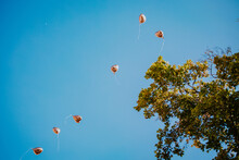 Balloons Floating Away Against The Blue Sky On A Sunny Day