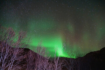 Sticker - Northern lights in the arctic circle in Norway