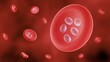 © Artur - Malaria infection, Plasmodium in a red blood cell