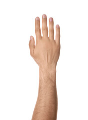 Wall Mural - Man against white background, closeup of hand