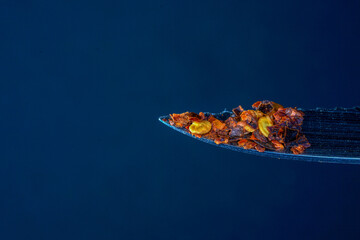 Wall Mural - Macro shot of a chili spice isolated on a blue background