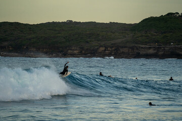 Wall Mural - surfer in action catching a wave at the beach