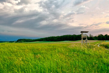 Poster - Beautiful rural landscape with agricultural fields and green trees at sunset