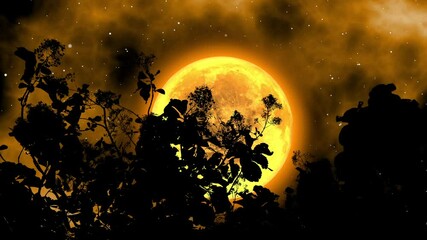 Wall Mural - Teak tree silhouette at night under the full moon