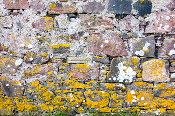 Grunge textured stone wall with growing moss and lichen