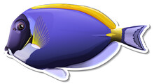Palette Surgeonfish Sea Animal Sticker